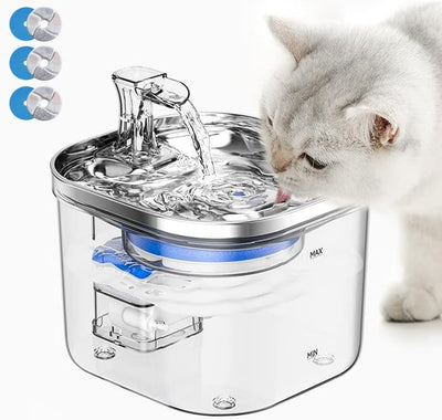 cat water fountain