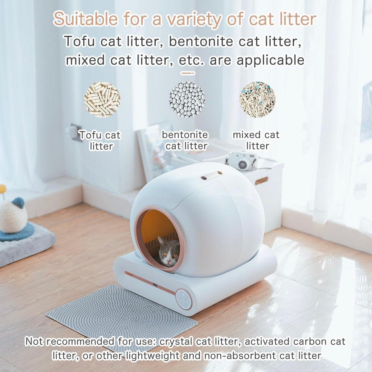 Cat litter box 