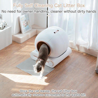 cat litter box