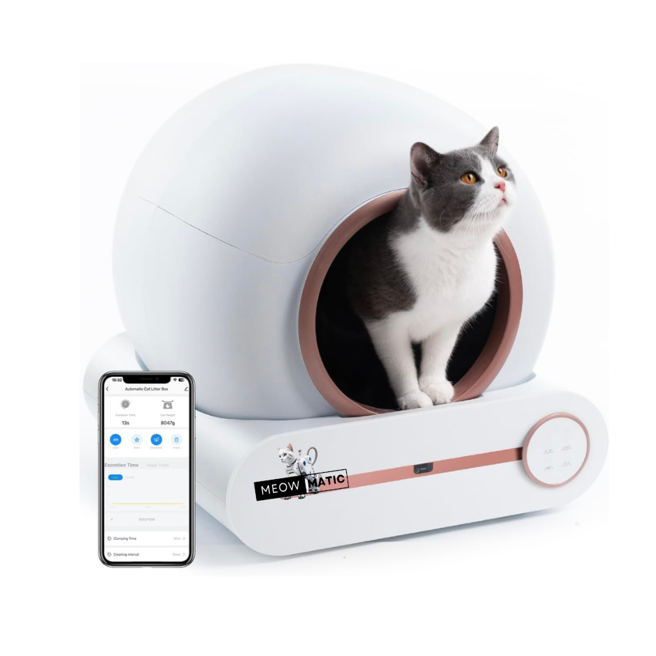 Self cleaning litter box